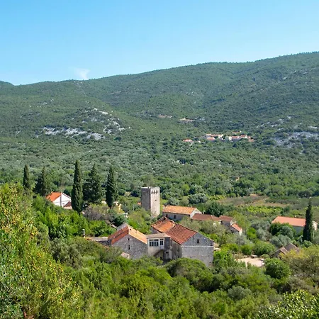 Amazing In With View * Janjina