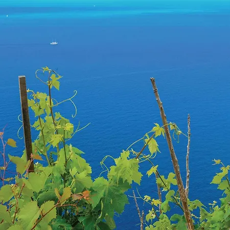 Amazing In With View Διαμέρισμα *